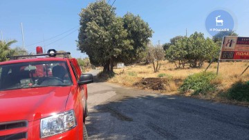 Πυρκαγιά σε ξερά χόρτα στις παρυφές της πόλης