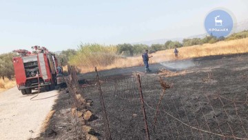 Φωτιά σε εξέλιξη κοντά στην Κάλαθο - Δεν φαίνεται να είναι ιδιαίτερα επικίνδυνη