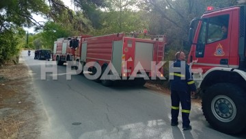 Αμεση κατάσβεση πυρκαγιάς στον Αίθωνα