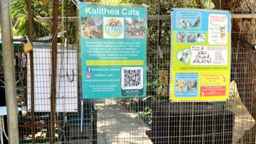 Χιλιάδες υπογραφές για να μη φύγει  τα «γατόσπιτο» από την Καλλιθέα