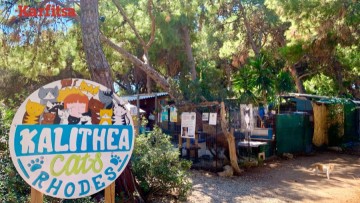 Υπό τον φόβο κατεδάφισης το «γατόσπιτο» της Καλλιθέας