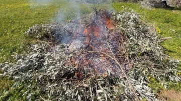 «Τσουχτερό» πρόστιμο για καύση κλαδιών