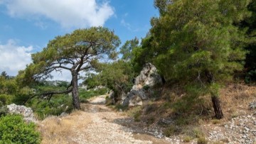 Παρουσιάστηκε η περιβαλλοντική μελέτη NATURA για τη Ρόδο