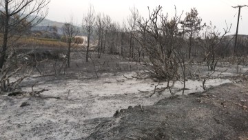 Διαμαρτυρία από κατοίκους του Θεολόγου για τις αποζημιώσεις