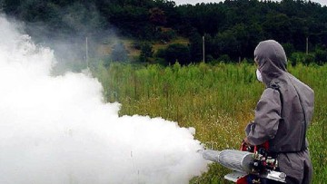 Διαγωνισμός για την κουνουποκτονία