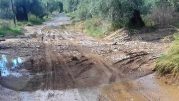 Τον Μάιο θα ξεκινήσει η ετήσια αποκατάσταση των δασικών δρόμων