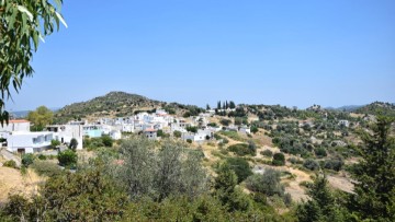 Εργασίες κοπής δέντρων στο οδικό δίκτυο από Λάερμα προς Λάρδο, Ασκληπειό κι Απόλλωνα