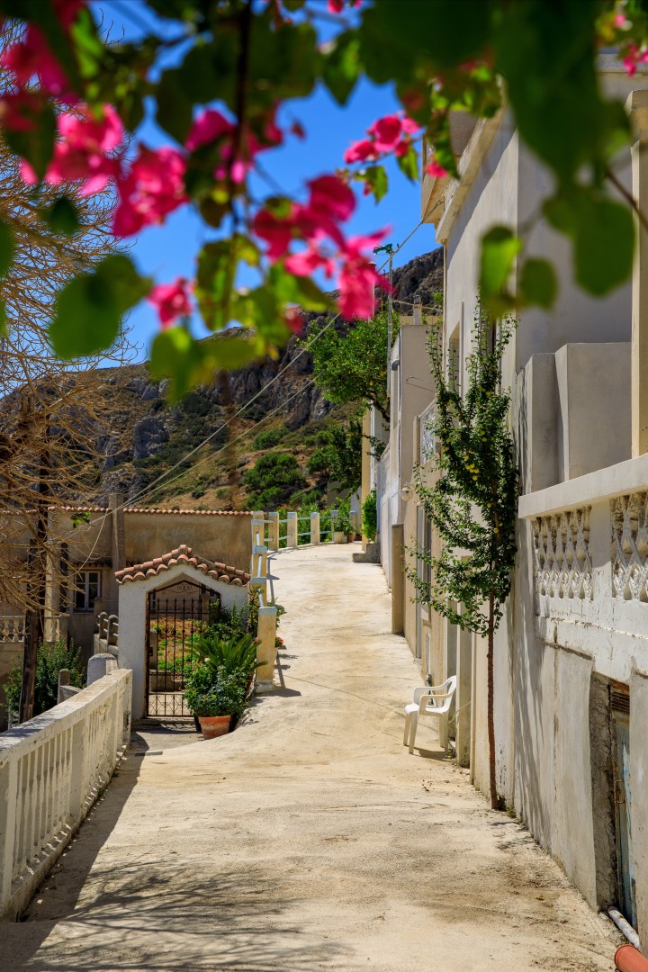 Μενετές/Photo: Shutterstock