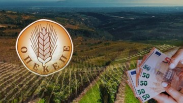 Σπείρα απατεώνων έπαιρνε παράνομες επιδοτήσεις από τον ΟΠΕΚΕΠΕ - 37 συλλήψεις από την ΕΛΑΣ, τουλάχιστον €5 εκατ. τα κέρδη τους