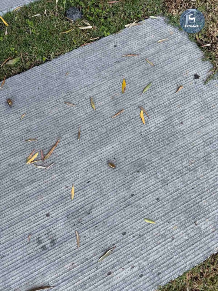 Οι κάλυκες που βρέθηκαν στην αυλή του επιχειρηματία