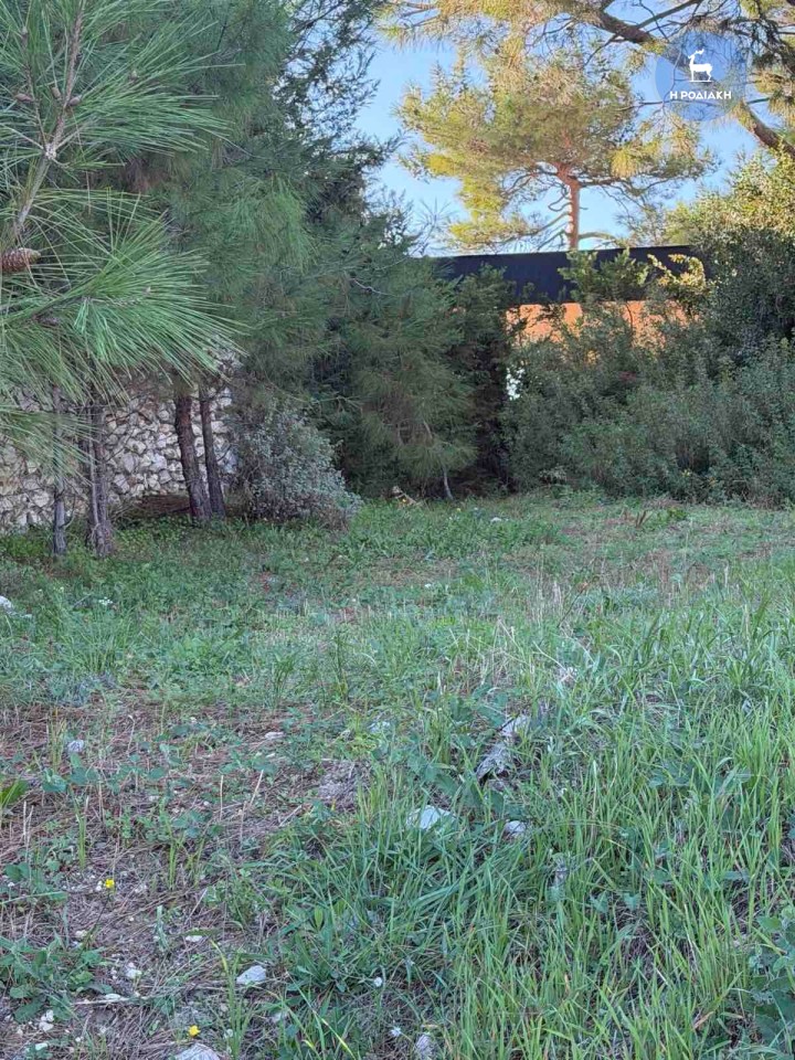 Το σημείο από όπου πιθανόν να μπήκε ο δράστης ή οι δράστες