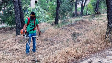 Τι αλλάζει στους καθαρισμούς των οικοπέδων με το νέο νομοσχέδιο - Πότε λήγει η προθεσμία για τους ιδιοκτήτες