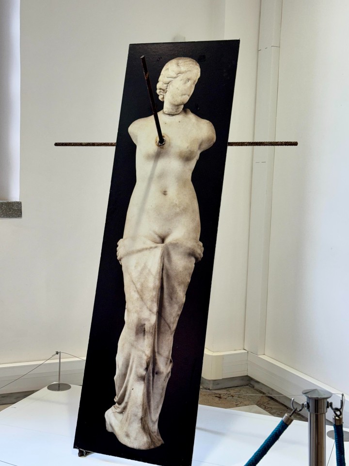 «Αφροδίτη Πάσχουσα», 197 × 57 εκ., έγχρωμη εκτύπωση σε χαρτί και σιδηροκατασκευή