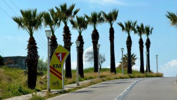 Σε εξέλιξη εργασίες κλαδέματος δέντρων…